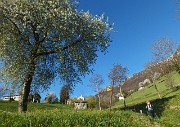 Da Brumano al suo Pizzo per il ‘Sentiero delle creste’ in Resgone il 16 aprile 2014 - FOTOGALLERY